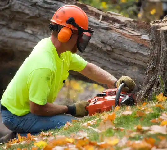 tree services Dundalk